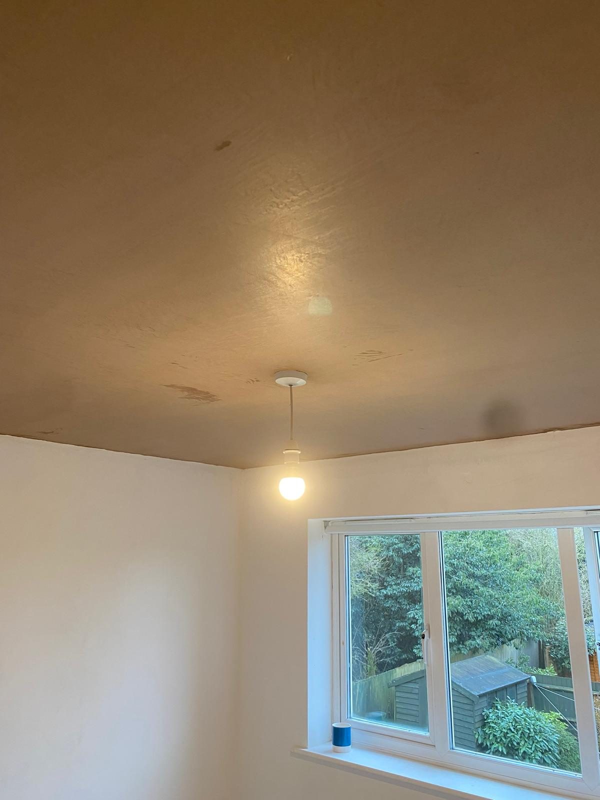 Newly skimmed ceiling ready for decoration